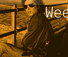 Tci Weekly Shimada Soji